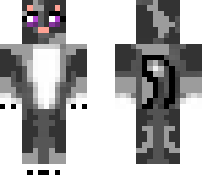 grey girl cat