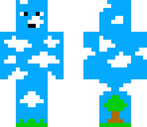 sky guy