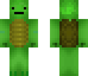 awesome turtle