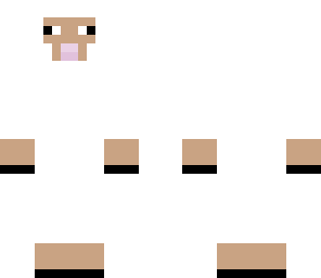 sheep