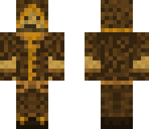assassin survivor