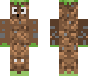 dirtguy 2