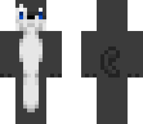 black cat