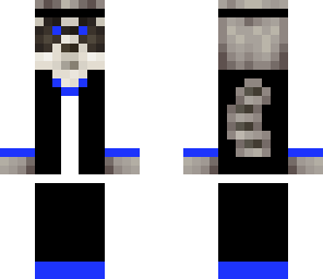 racoon raccoo