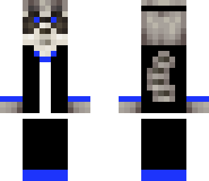 racoon