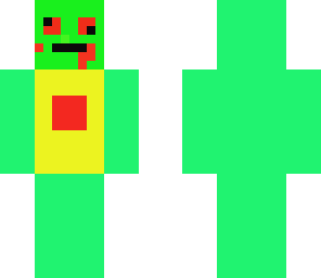 turtle guy