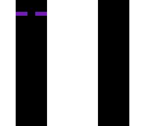 ender man