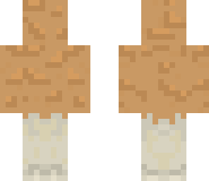 fried chicken leg