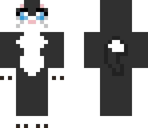 cute tuxedo