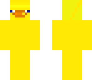a cute duck