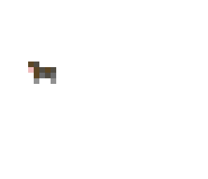 mini cow