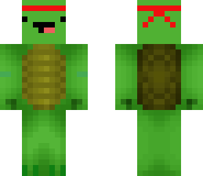 derp turtle ninja