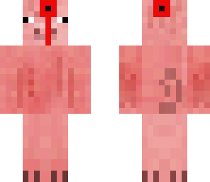 shot pig