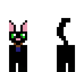 epic cat
