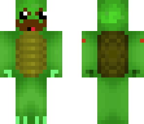 mr turtle