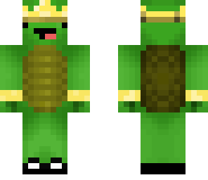 awesome king turtle