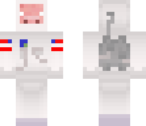 pig astronaut