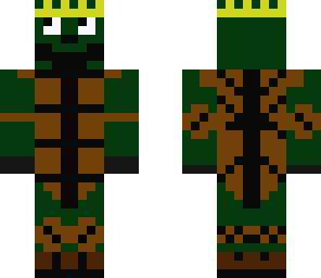 socks turtle