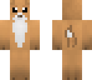corgi 2