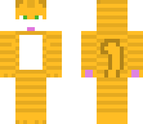 orange boy cat