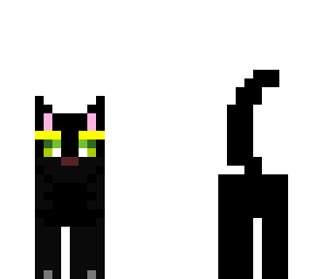 gato