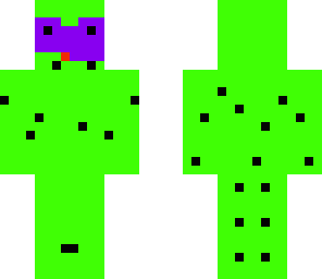fixed masked turtle