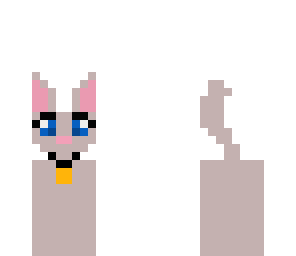 cute kitty update