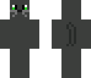 old skin hollyleaf-warrior cats