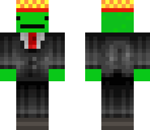 turtle with hat