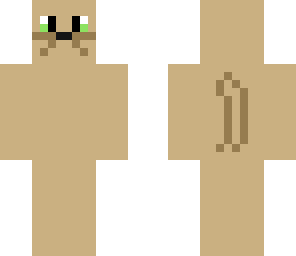 old skin sandstorm-warrior cats