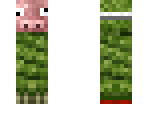 pig creeper