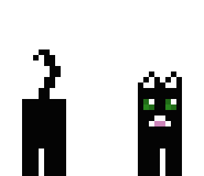my first cat