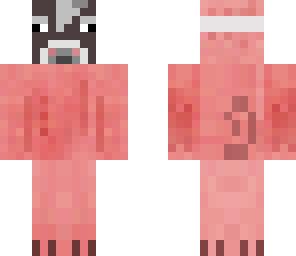 pig spy