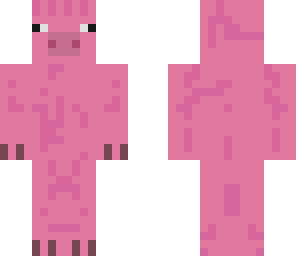pig