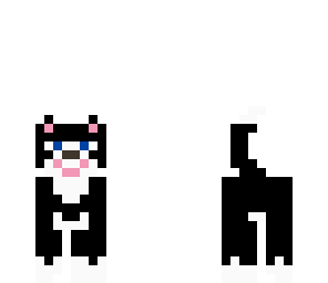 black cat