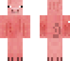 pig