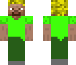my custimized steve
