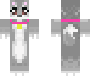 alaskan husky with collar