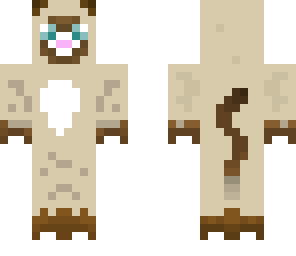 snowshoe cat