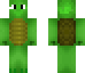 my turtle