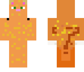 orange cat