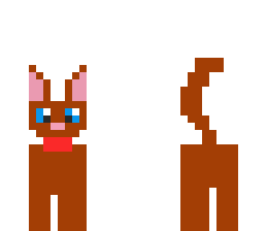 cute cat