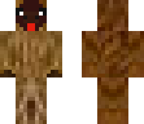 llama