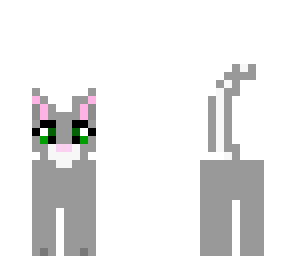 cute kitten