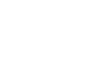 connect the dots