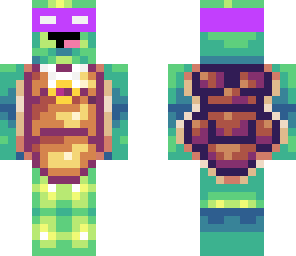 sky ninja turtle