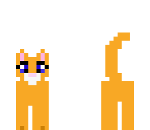 orange kitty cat
