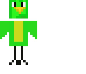quaker parrot