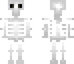 esqueleto skeleton