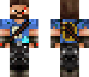 traveller steve